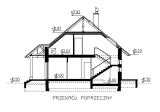 bw-51w1 przekrój.jpg