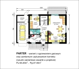 BW-49 WARIANT GAZ.jpg