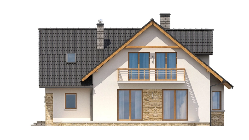 C.jpg