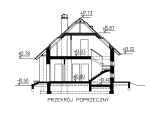 bw-36 w16 przekroj.jpg
