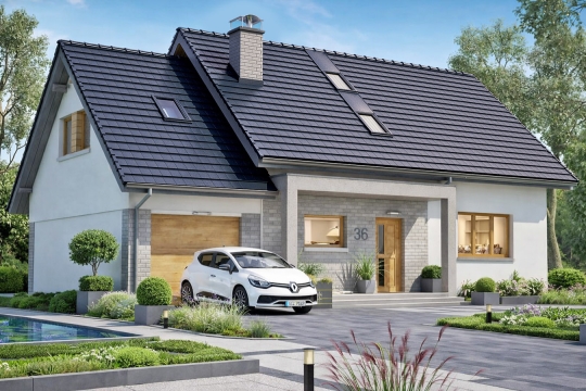 bw-03 wariant 7 front 1.jpg