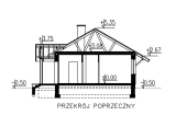 bw-39 w1 przekroj.jpg